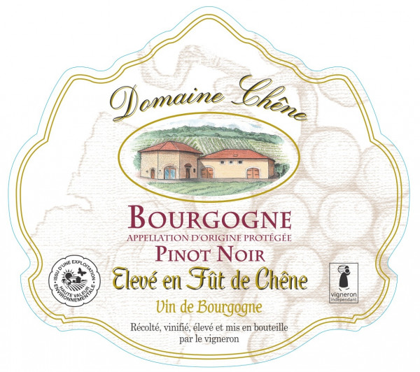 AOP Bourgogne Pinot Noir - Elevé en Fût de chêne - visuel 2