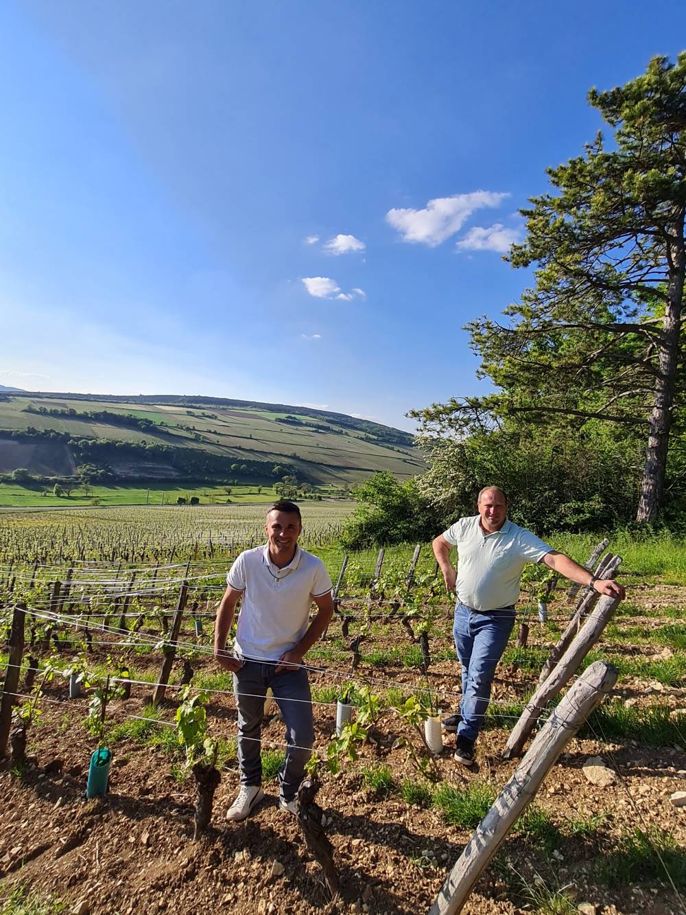 Présentation Domaine CHENE